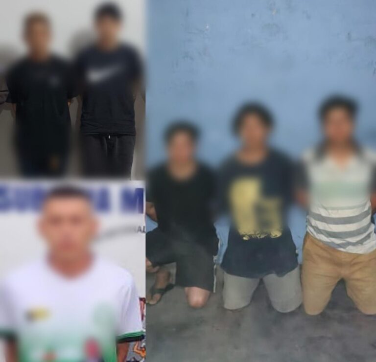 Efectivo trabajo policial permite retirar estupefacientes del mercado ilegal