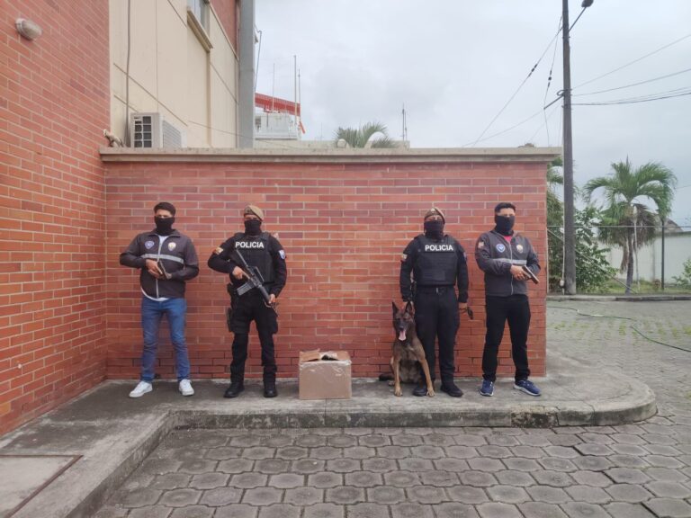 Artesanías eran empleadas como fachada para el tráfico de cocaína hacia el exterior