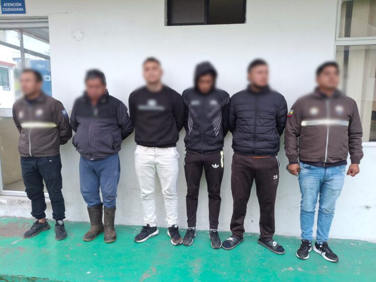 Afectamos a una estructura criminal en Imbabura, dedicada al robo de ganado