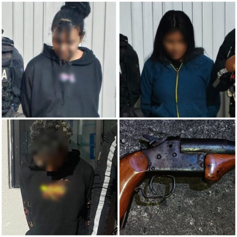 Operativo Policial dejó 04 aprehendidos por porte ilegal de armas en Imbabura