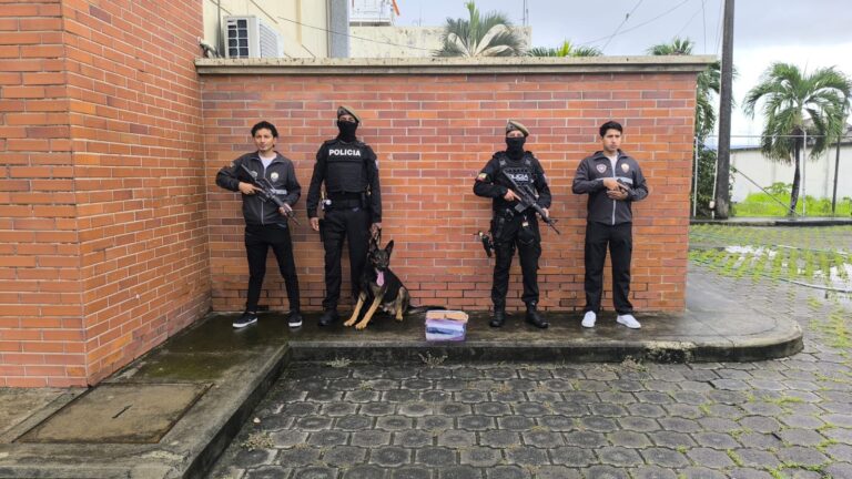 Detectamos cocaína en operativo de control previo a envío internacional