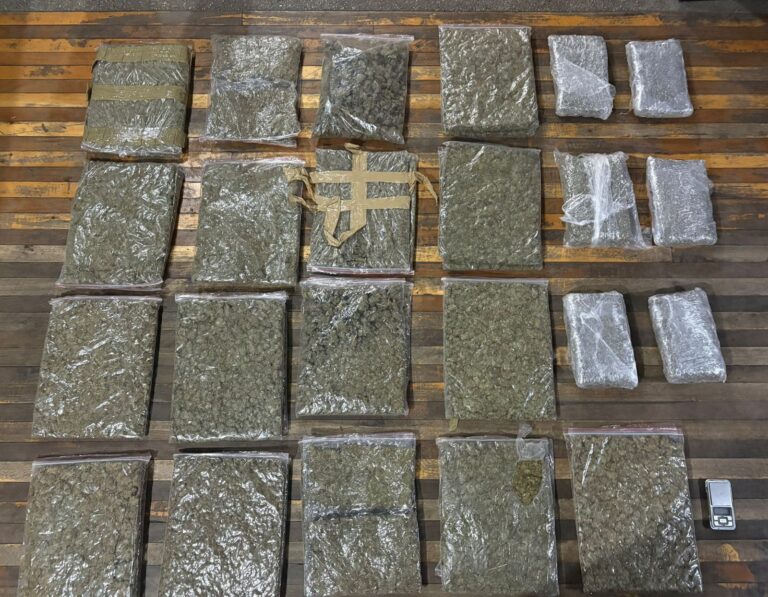 Incautamos 44.652 dosis de marihuana en Chimborazo