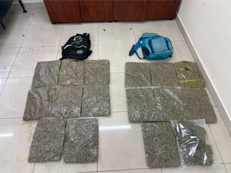Operativo “Cero Impunidad 5035” permitió retirar más de 15 mil dosis de droga en Carchi