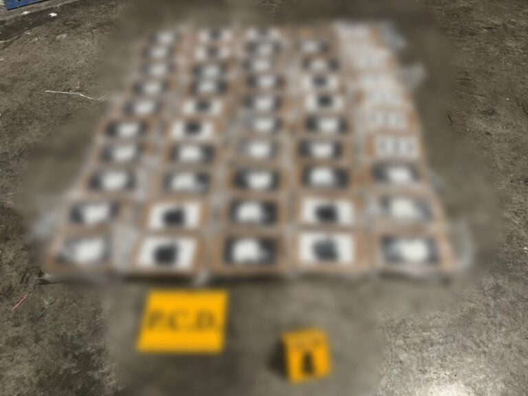Coordinación interinstitucional permitió el decomiso de más de media tonelada de cocaína
