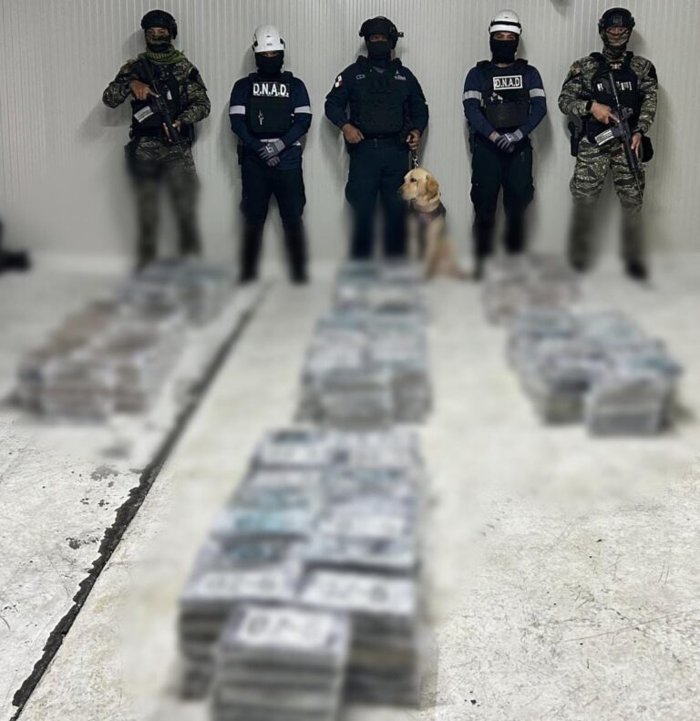 Afectamos a las estructuras del tráfico internacional de drogas con la incautación de más de media tonelada de alcaloide