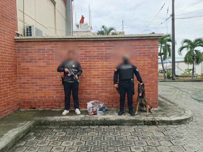 Detectamos cocaína camuflada en plantillas de zapatos con destino a Países Bajos