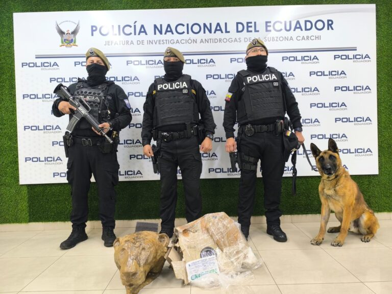 Frustramos envío de alcaloides para consumo interno en Carchi