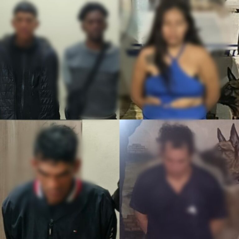 Cinco aprehendidos y más de mil dosis decomisadas en operativos antidrogas