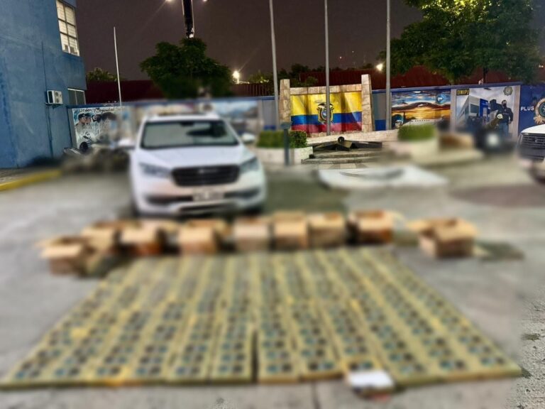Operativo “Zircon II” debilita estructuras del narcotráfico y sus economías ilícitas
