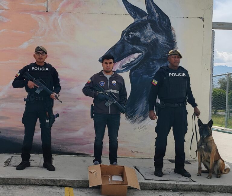 Frustramos envío de encomiendas contaminadas con cocaína al extranjero