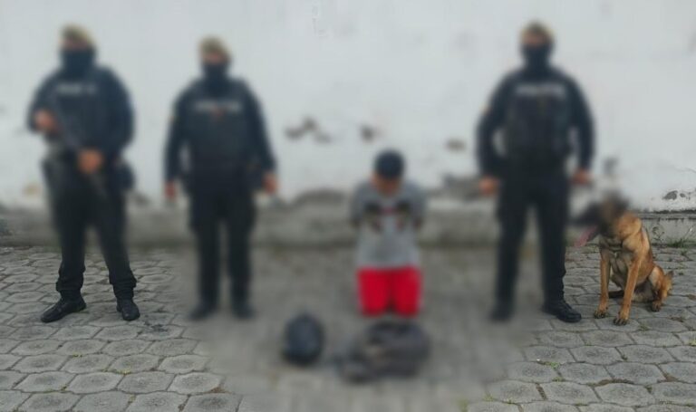 Can antidrogas “Assan” permitió detectar más de 2 kilos de marihuana en Imbabura