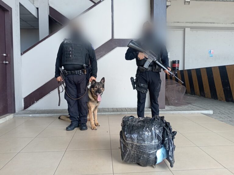 Interceptamos paquete contaminado con droga