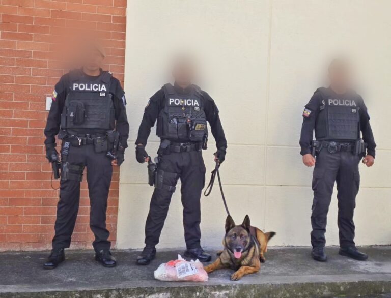 Evitamos el envío de 8.330 dosis de cocaína a Australia tras alerta de can detector RÍO