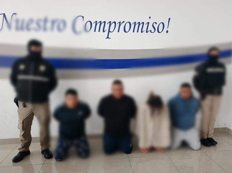 Afectamos una organización delictiva vinculada a los delitos de asociación ilícita, robo de autopartes, accesorios de vehículos y secuestro en Quito