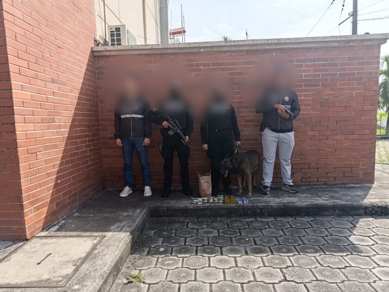 Frenamos el envío de estupefacientes dentro y fuera del país