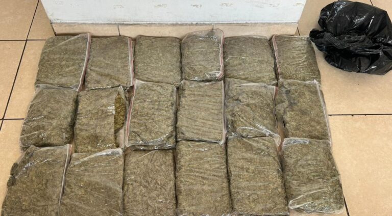 Decomisamos planchas de marihuana presuntamente vinculada a “Los Lobos”