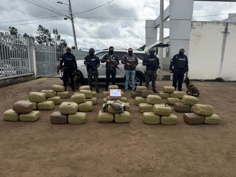 300 kilos de marihuana decomisados en Carchi