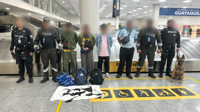 Policía Nacional impide tráfico ilegal de iguanas de Galápagos en Guayaquil