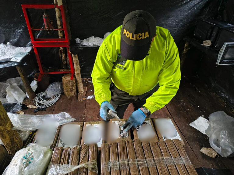 Ecuador y Colombia golpean al narcotráfico en la frontera: complejo cocalero fue inhabilitado en Nariño