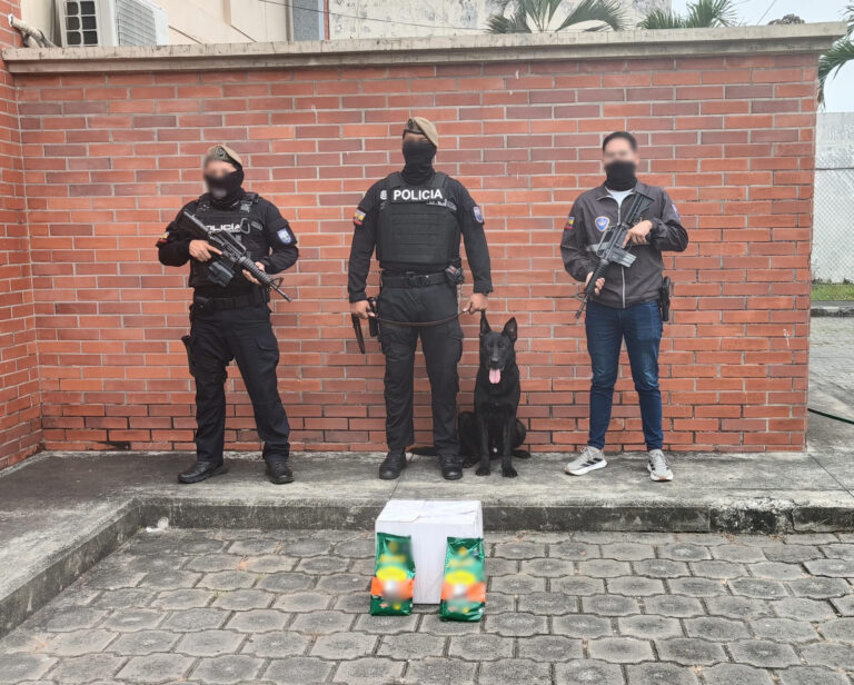 Frustramos el envío de 19.000 dosis de cocaína ocultas en una encomienda con destino a Países Bajos