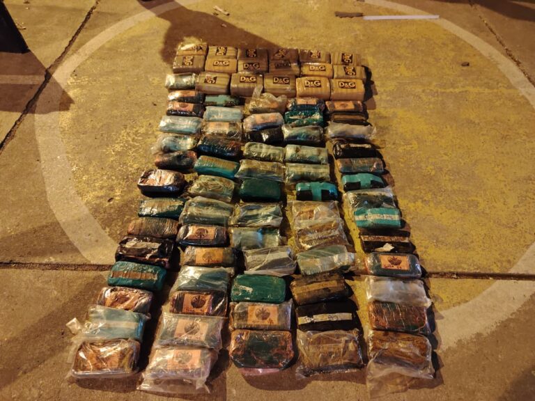 Policía evitó el traslado de más de 54 kilos de marihuana en la frontera sur