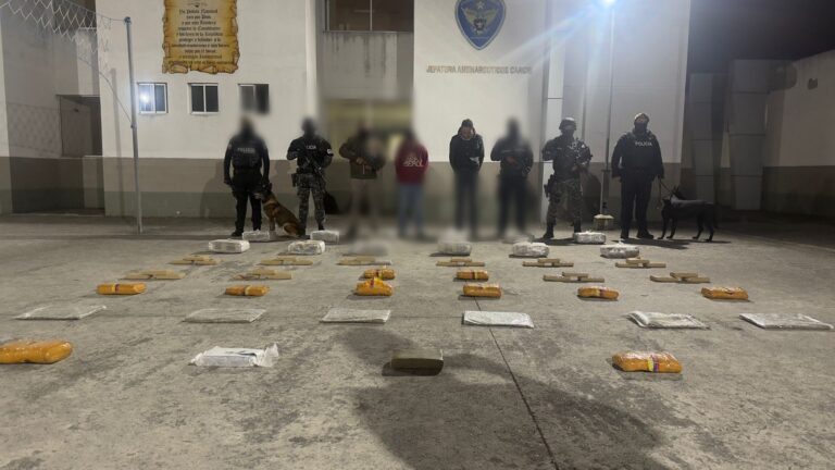 En Carchi sacamos del mercado más de un millón de dosis de droga
