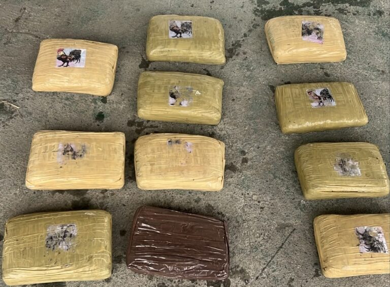 Decomisamos más de 11 kilos de marihuana transportados como encomienda en un bus de servicio público en Esmeraldas