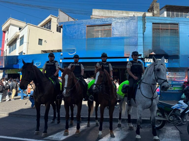 Golpe operativo en Quito: 20 sujetos aprehendidos y armas, droga y vehículos recuperados en intervenciones Apolo, Perseo y Pandora