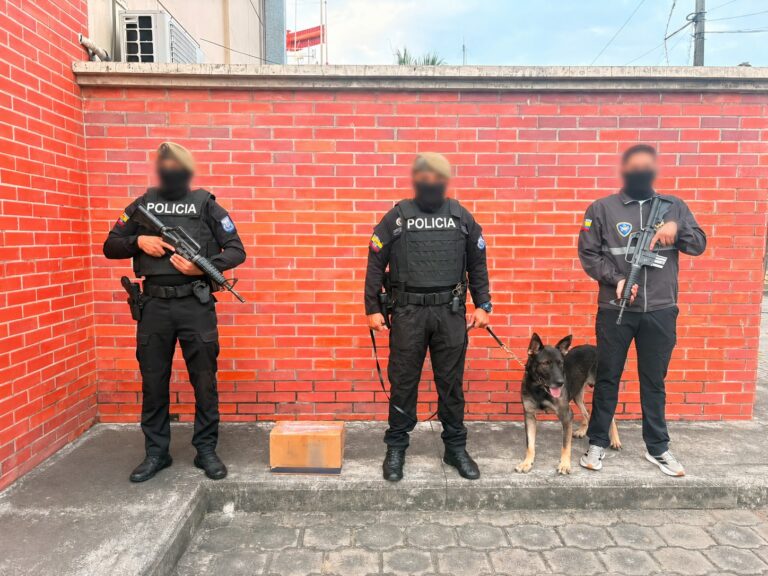 Policía frustra envío de cocaína líquida camuflada en aparentes conservas hacia Australia