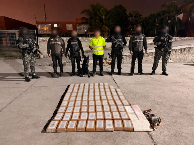90 paquetes de cocaína fueron incautados en un contenedor con banano que tenía como destino Italia