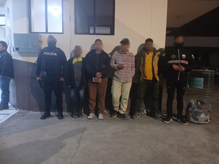 Operativo contra la minería ilegal vinculada al GAO “Los Lobos”