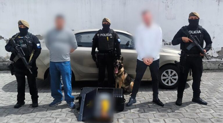 Policía sacó de circulación más de siete mil dosis de droga destinadas al consumo interno