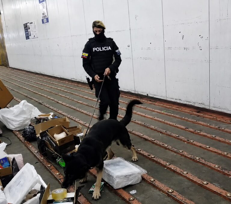 Policía Nacional evitó el tráfico internacional de más de 179 mil dosis de cocaína