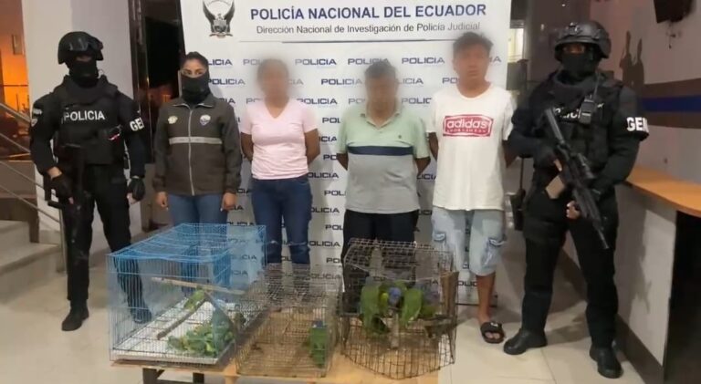 Tres detenidos por presunto tráfico y comercialización de fauna silvestre