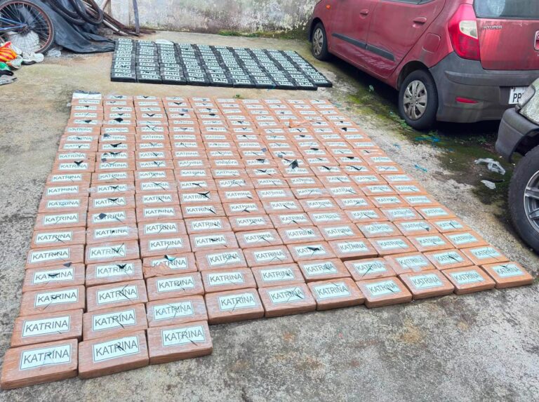 POLICÍA NACIONAL APREHENDE A UN CIUDADANO Y DECOMISA MÁS DE 279 KILOS DE COCAÍNA EN SANTO DOMINGO