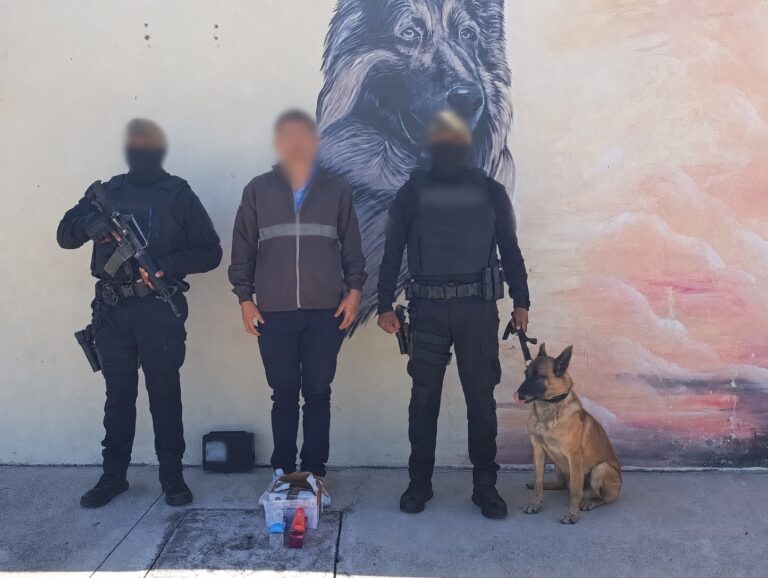 Policía Nacional evita el envío de 2.040 dosis de cocaína con destino a España