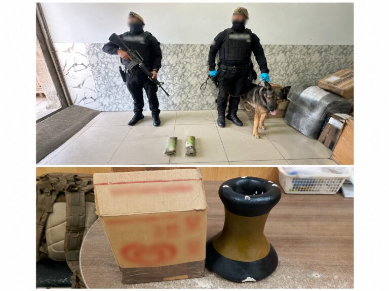 Golpe al narcotráfico: Policía impide el envío de cocaína a Europa y retira cientos de dosis de marihuana