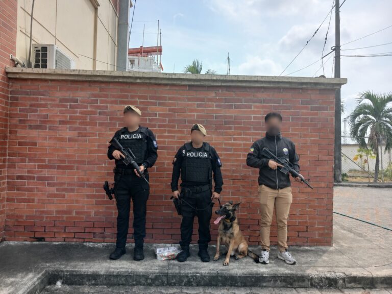Policía Nacional evita que 2.000 dosis de cocaína lleguen al mercado europeo