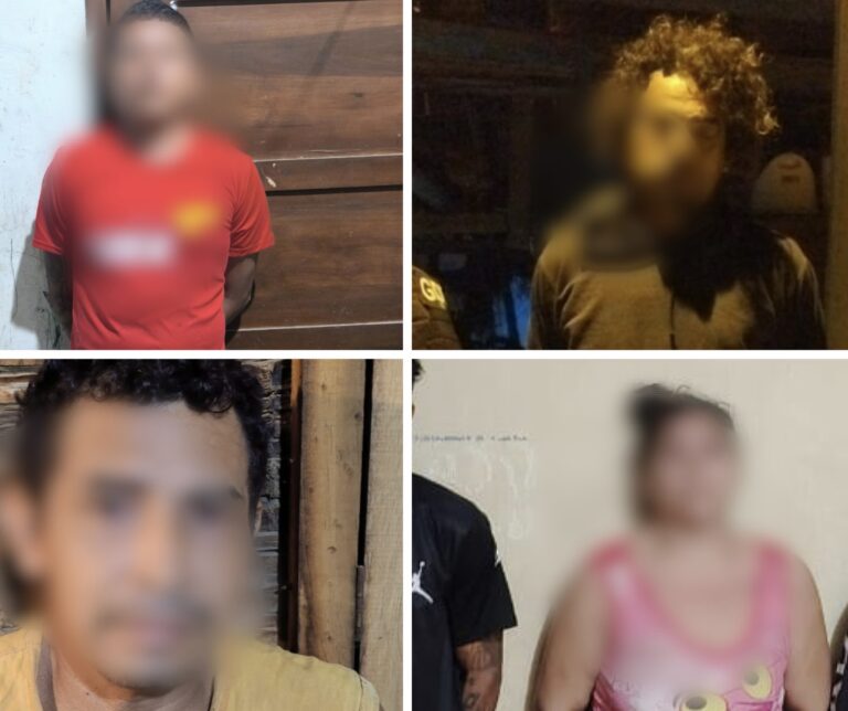 14 DETENIDOS, ENTRE ELLOS UN IIPR, TRAS 18 ALLANAMIENTOS EJECUTADOS EN EL ORO