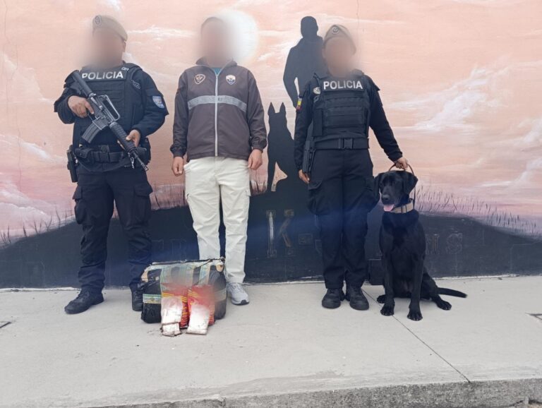 Policía Nacional frustra el tráfico de más de 41.000 dosis de cocaína