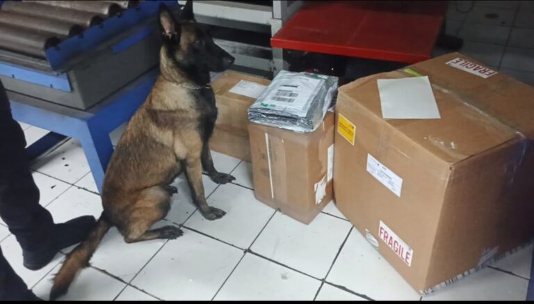 Canes detectores localizaron droga oculta en encomiendas que pretendían llegar a Arabia Saudita y Londres