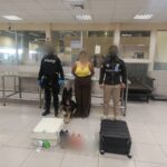 Policía Nacional frustra envío de más de 6,5 kilos de cocaína líquida camuflada en productos alimenticios y capilares hacia Europa