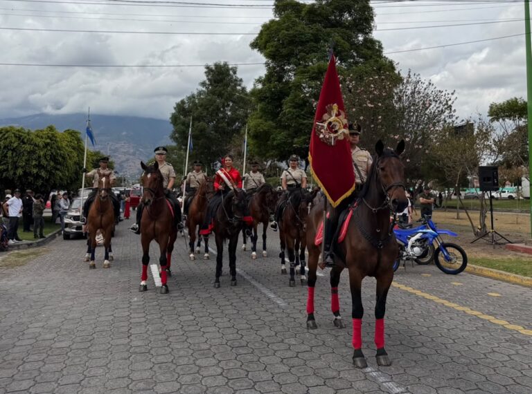 Seguridad y control policial durante la tradicional Cacería del Zorro